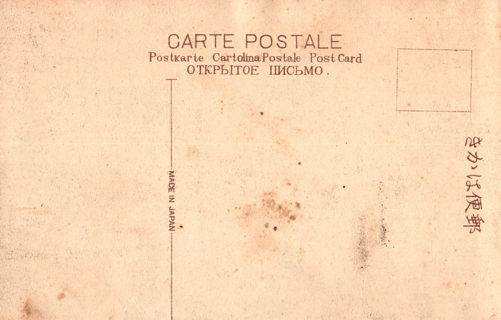 pc2026-01-14_173358 - Back