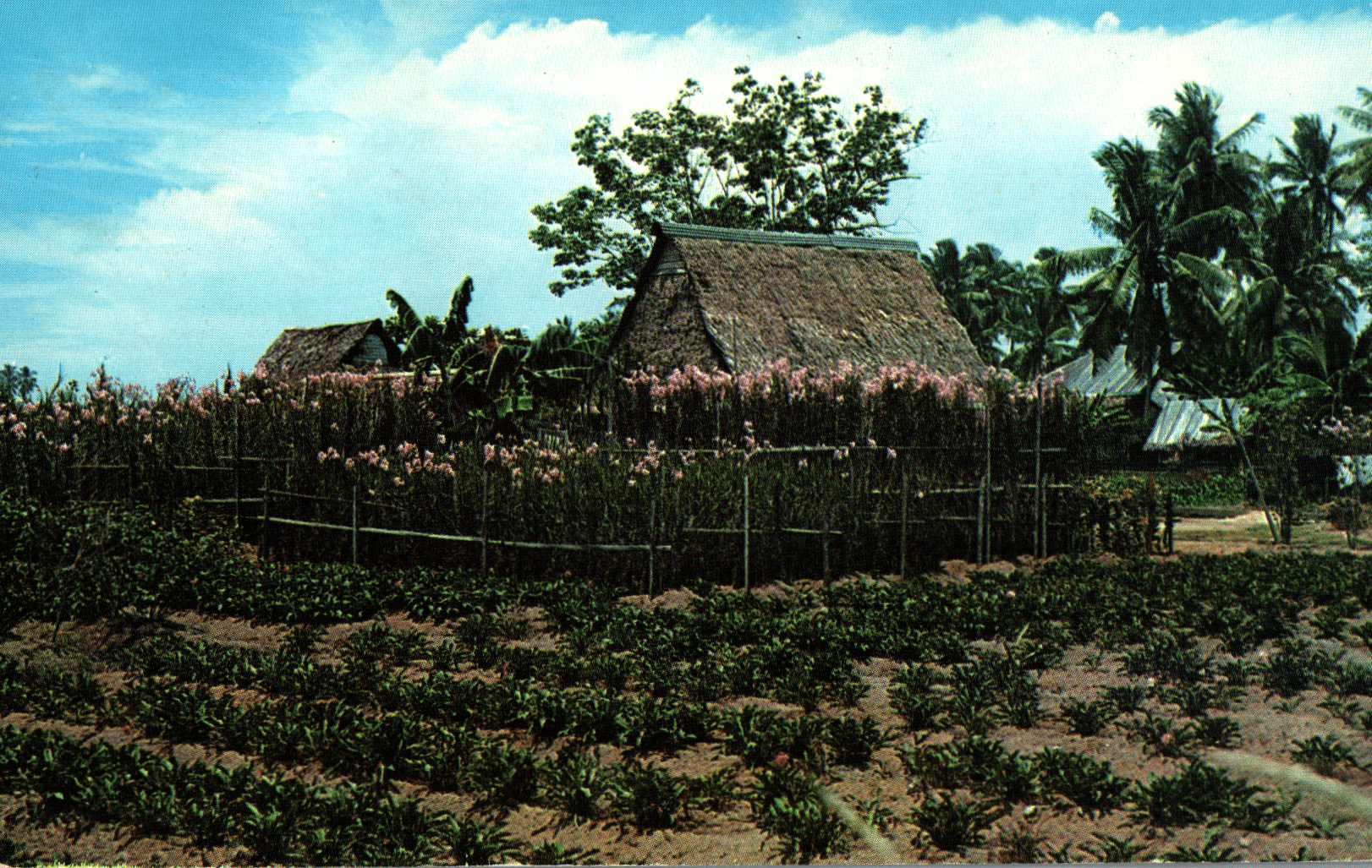 pc2026-01-14_173419 - Front