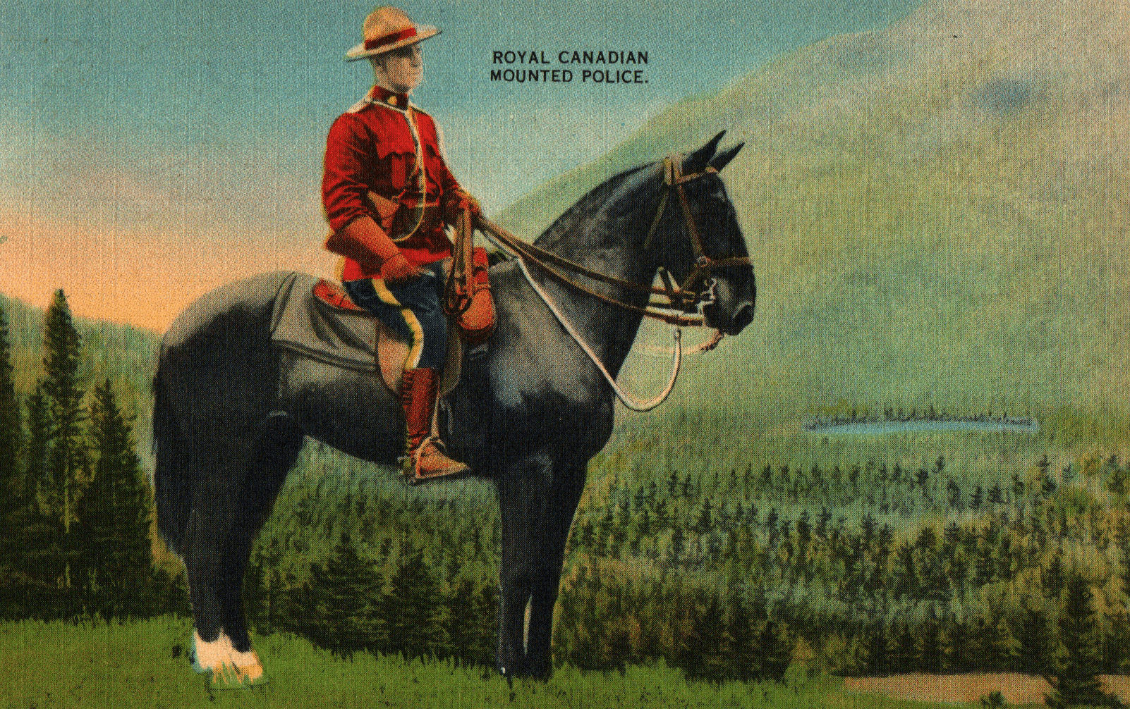 pc2026-01-14_193515 - Front