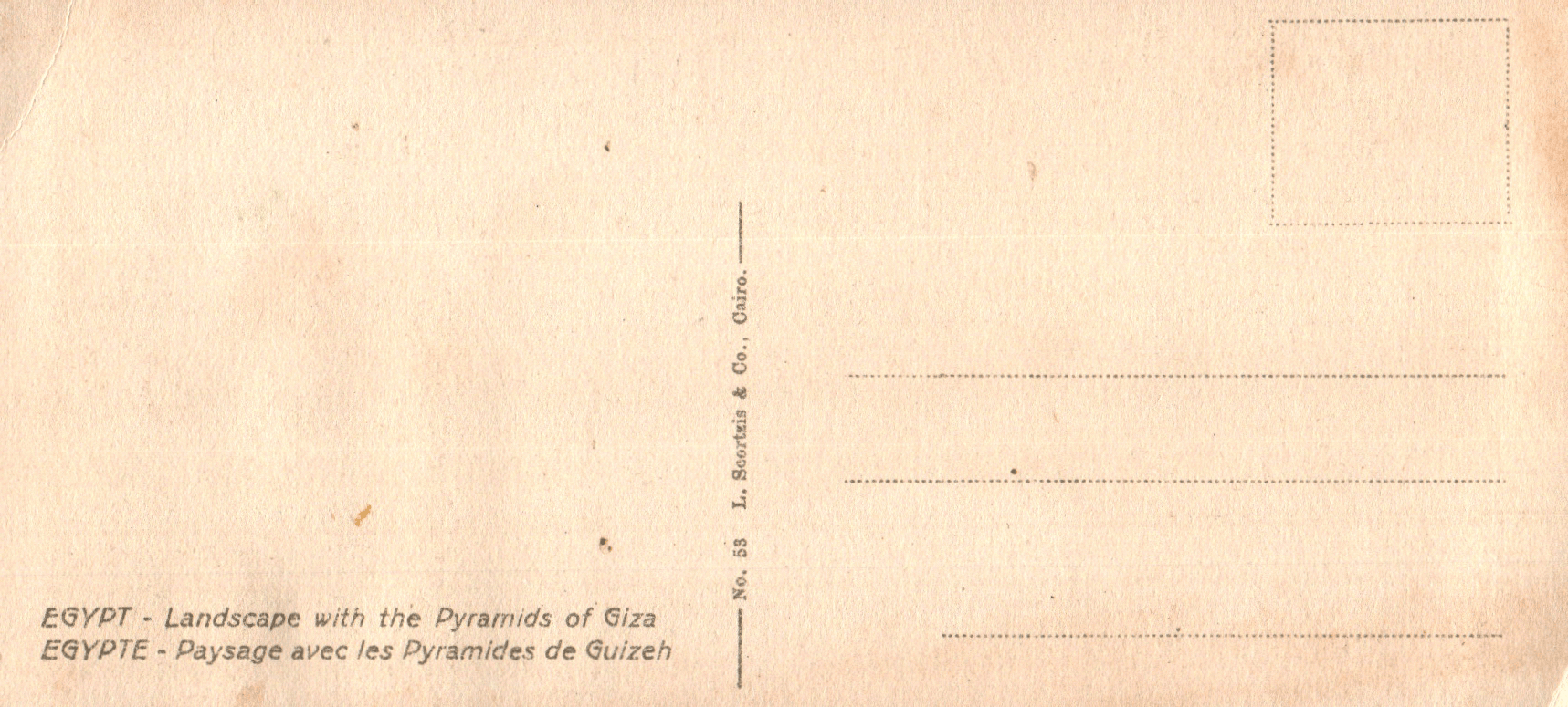 pc2026-01-14_194115 - Back