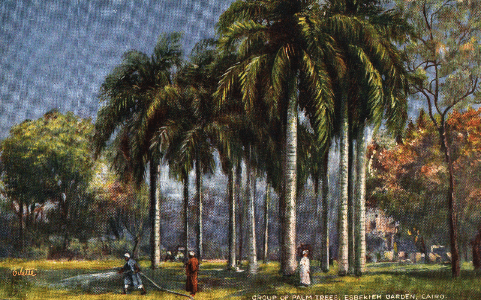 pc2026-01-14_194144 - Front