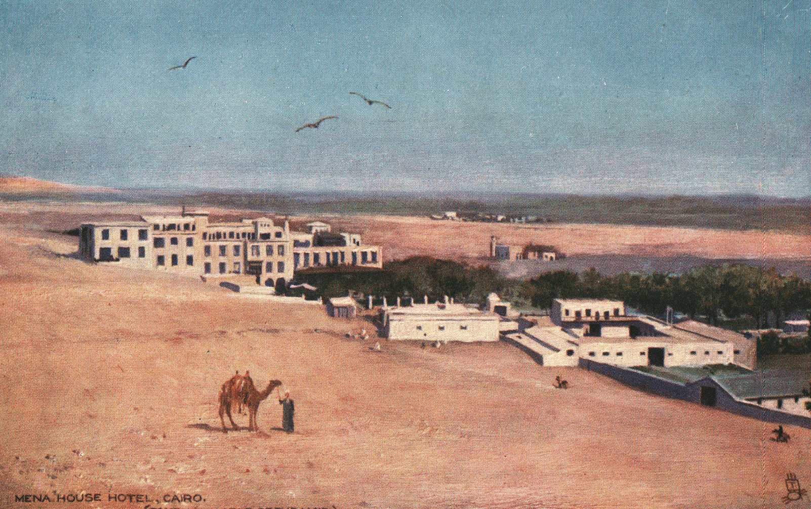 pc2026-01-14_194158 - Front