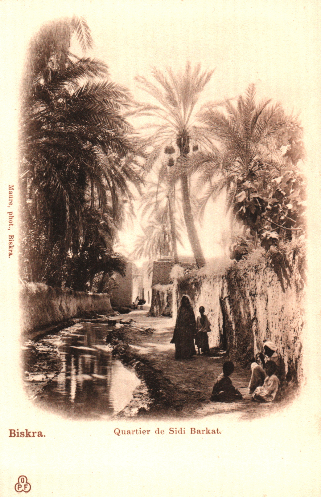 pc2026-01-14_194319 - Front