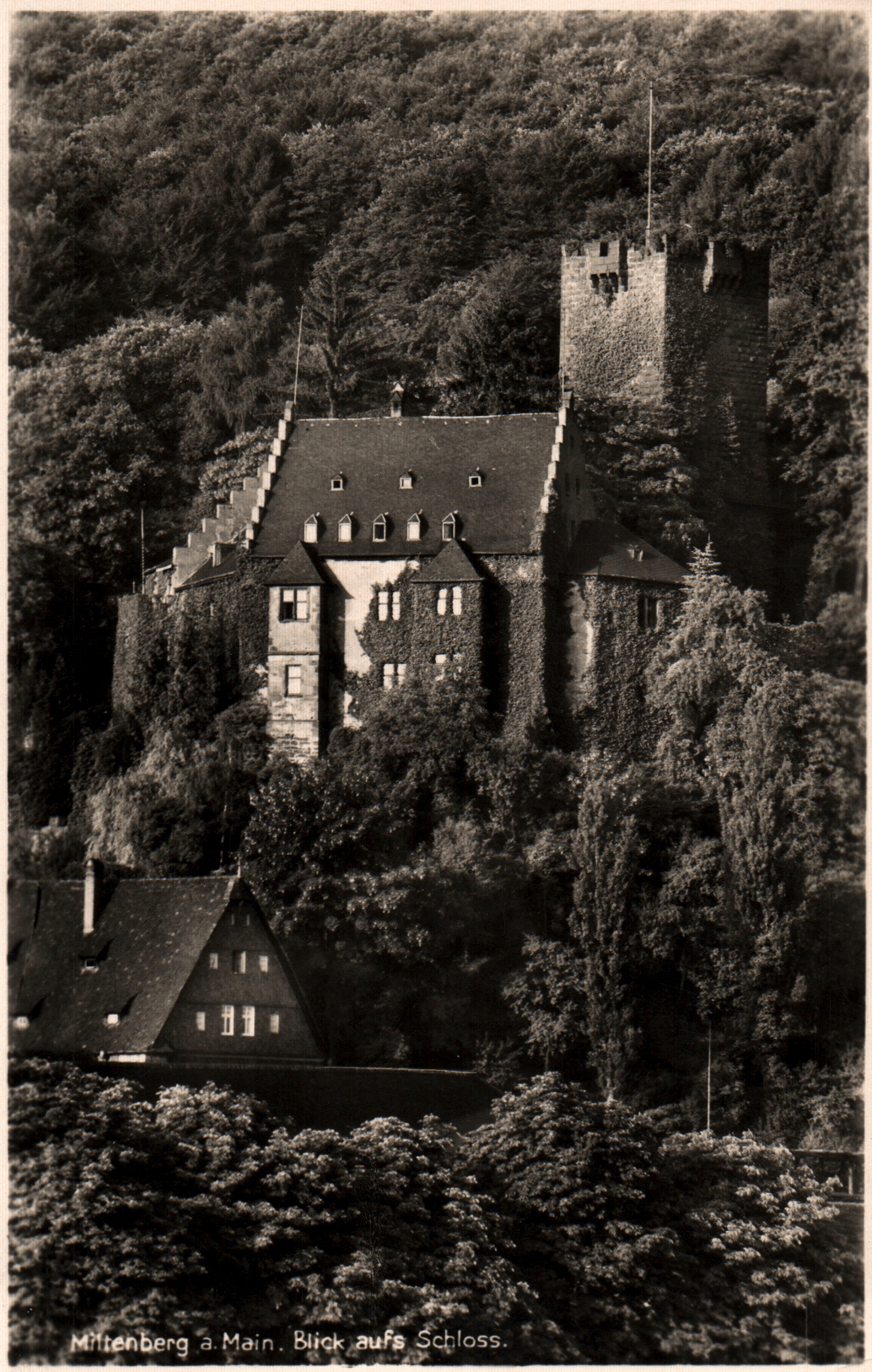 pc2026-01-14_191757 - Front