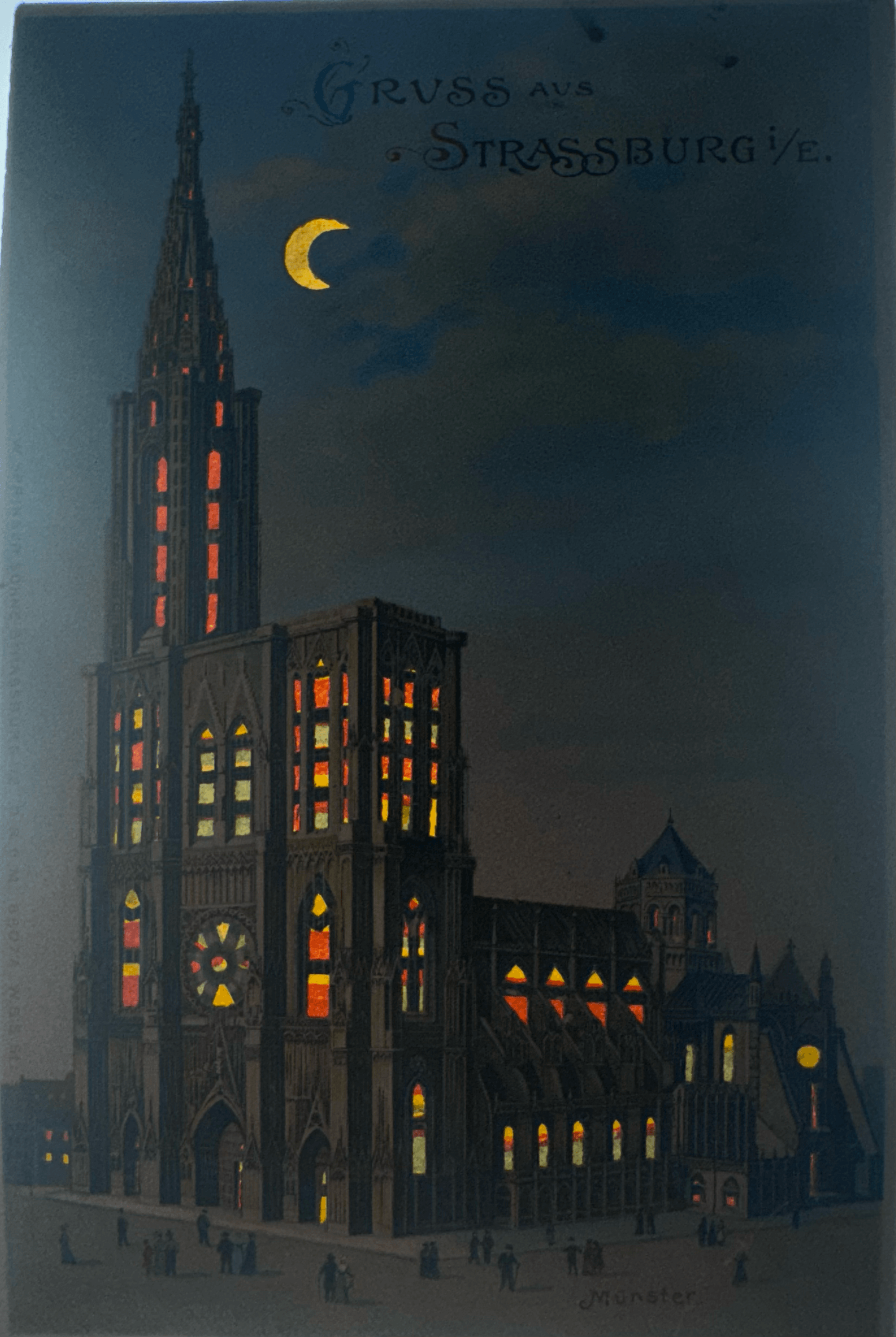 pc2026-01-25_211911 - Back