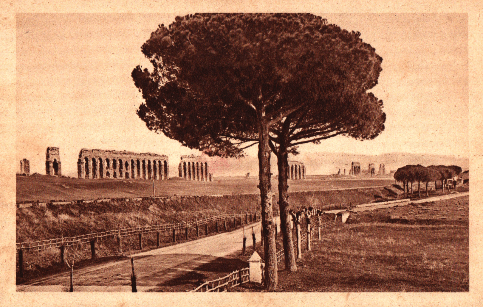 pc2026-01-14_180429 - Front