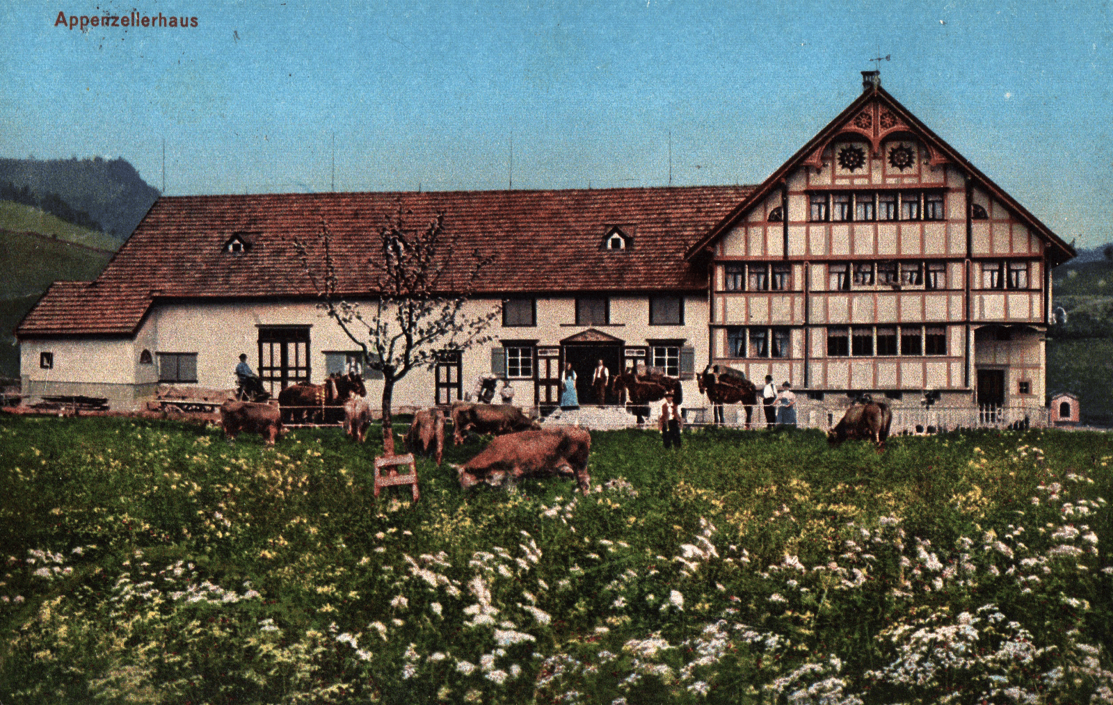 pc2026-01-14_185649 - Front