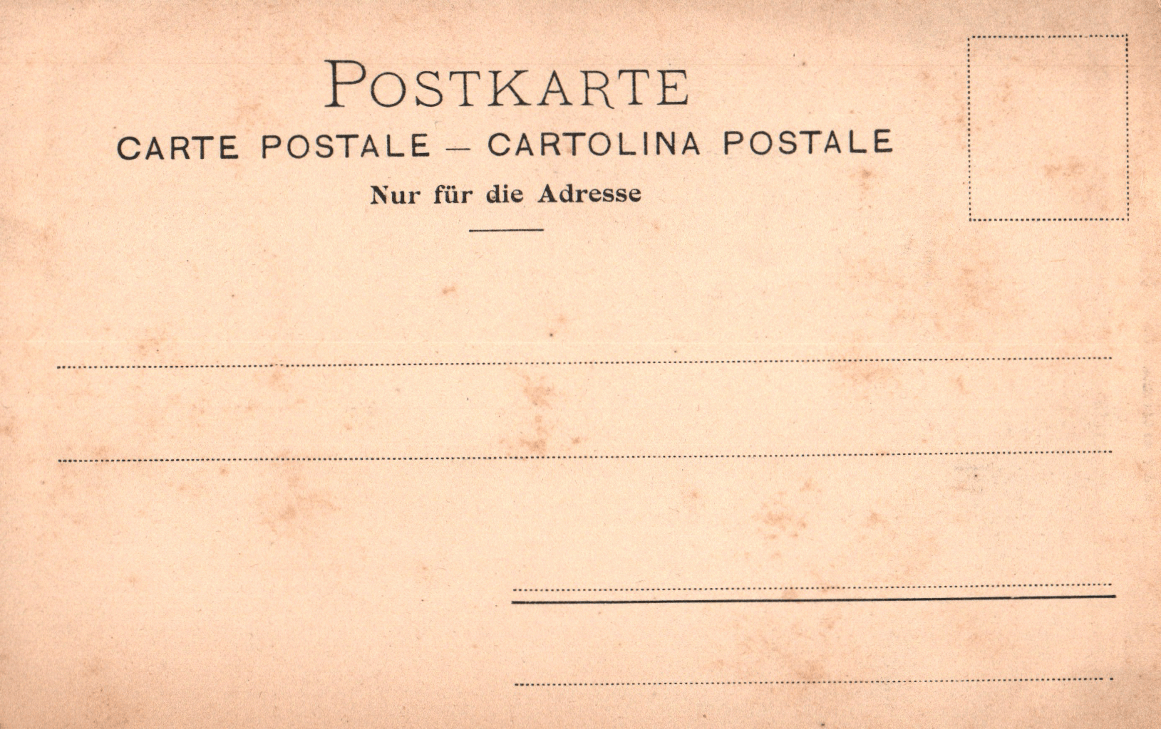 pc2026-01-14_190407 - Back