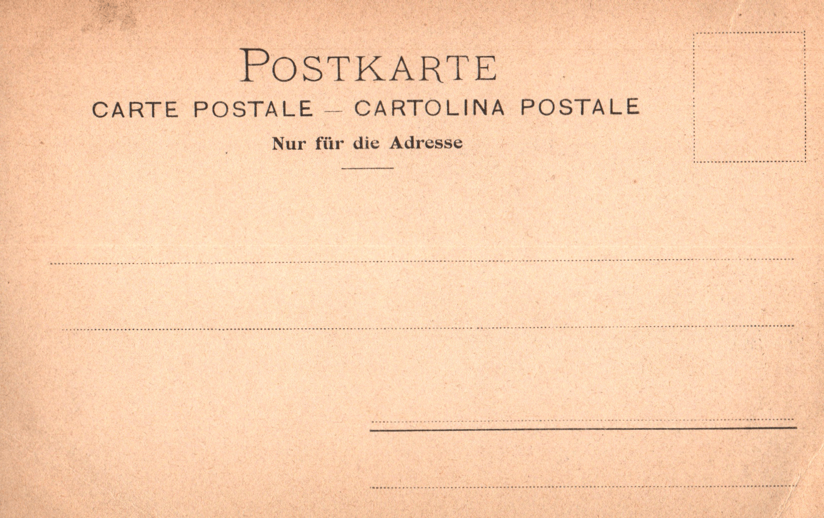 pc2026-01-14_190453 - Back