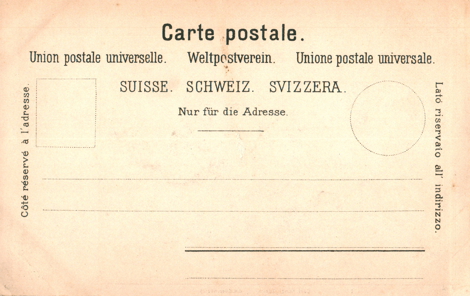 pc2026-01-14_190500 - Back