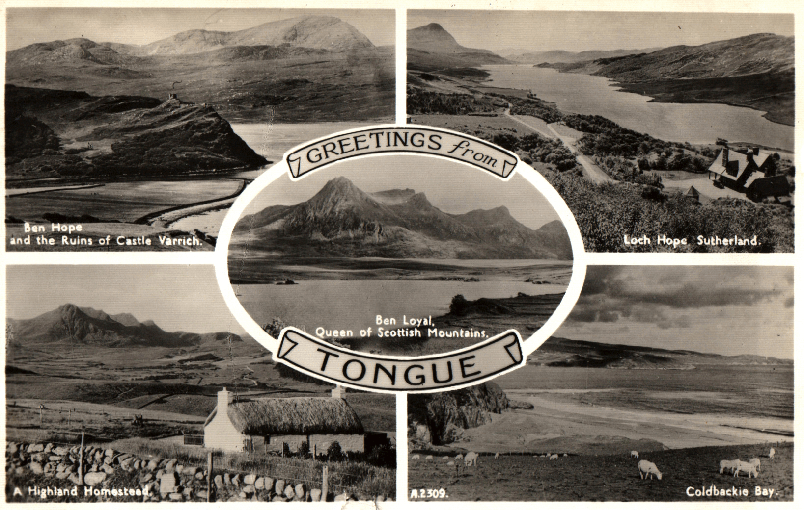 pc2026-01-14_174234 - Front